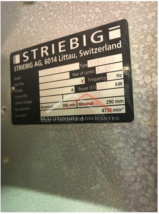 Striebig Optisaw Vertical Panel Saw