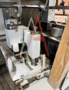 RAIMANN KM310 1M MOVABLE BLADE GANG RIP SAW