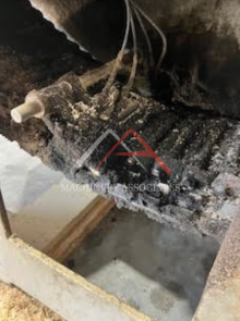 RAIMANN KM310 1M MOVABLE BLADE GANG RIP SAW