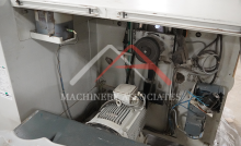 WEINIG RAIMANN ECONORIP 310 GANG RIP SAW MULTIBLADE