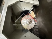 Cantek MRS 300 Gang Rip Saw