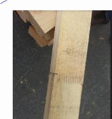 CANTEK FL8 AUTO FINGER JOINT LINE