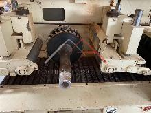 RAIMANN KM us MULTIBLADE GANG RIP SAW