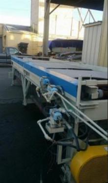 MULTISCORE 2162 MULTIRIPSAW WITH MATERAIAL HANDLING