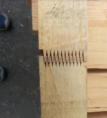 CANTEK FL8 AUTO FINGER JOINT LINE