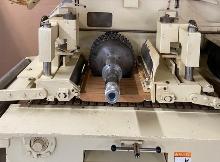 RAIMANN KMUS THROUGH FEED GAND RIP SAW