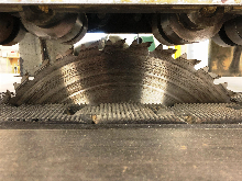 DEIHL 75 STRAIGHT LINE RIP SAW