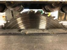 DEIHL 75 STRAIGHT LINE RIP SAW