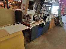 2002 Raimann Multi Blade Ripsaw 2002 Raimann Multi Blade Ripsaw