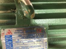 Bridgewood GY-610S Double Side Planer