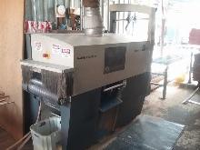 RAIMANN KM 310 Gang Ripsaw  Buy now