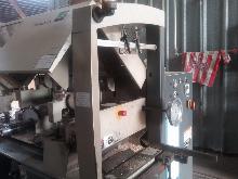 RAIMANN KM 310 Gang Ripsaw  Buy now