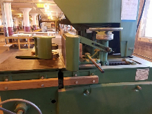 Used Stenner Resaw