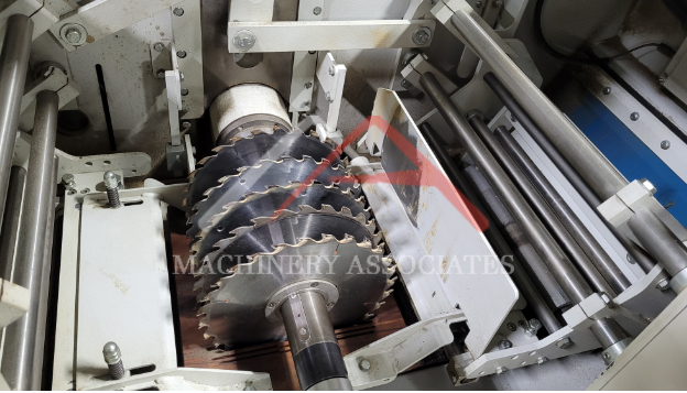 RAIMANN UNIRIP 310 MULTIBLADE GANG RIPSAW