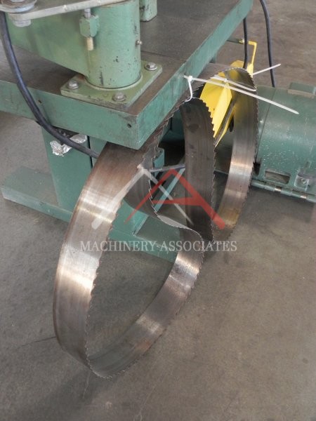 Resaw w/Artiglio Feeder