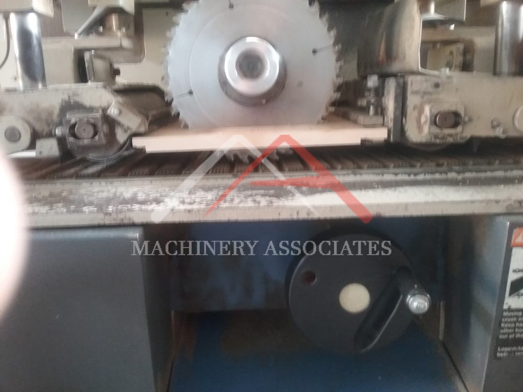 RAIMANN KM 310 Gang Ripsaw  Buy now